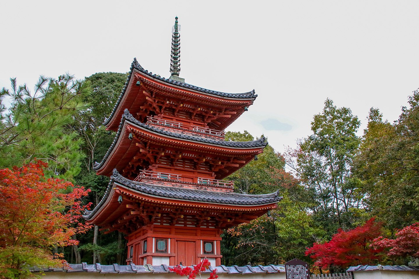 🏯 이야마 호후쿠지 이미지 5